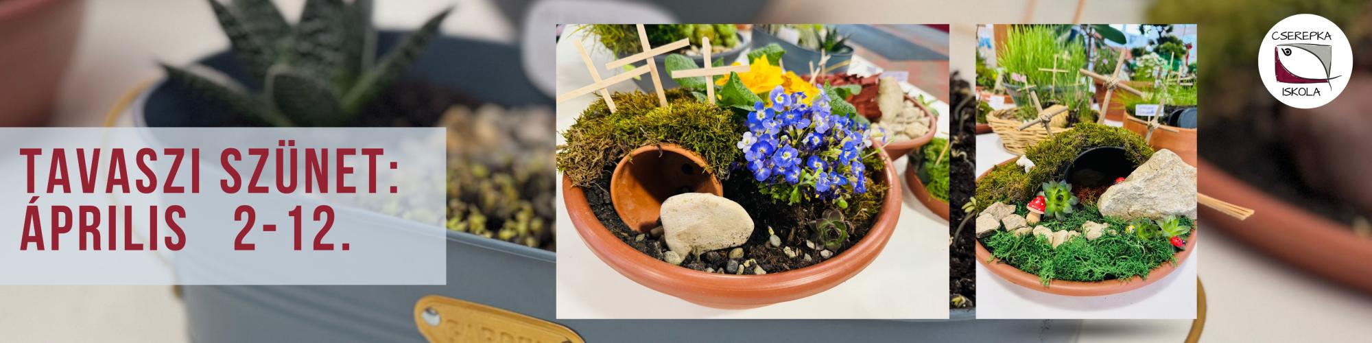 Cserepka János Magyar-Angol Két Tanítási Nyelvű Baptista Sportiskola, Általános Iskola és Gimnázium