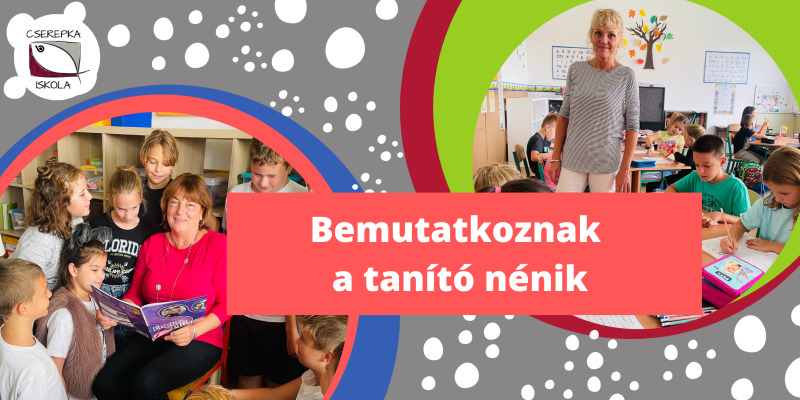 Bemutatkoznak a tanító nénik 2024