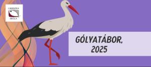 Gólyatábor #2025