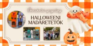 Ökoiskolai upcycling: Halloweeni madáretetők készültek