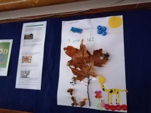 A jövőnk a tét! - környezetvédelemmel, klímaváltozással, hulladékgazdálkodással foglalkozó projekt